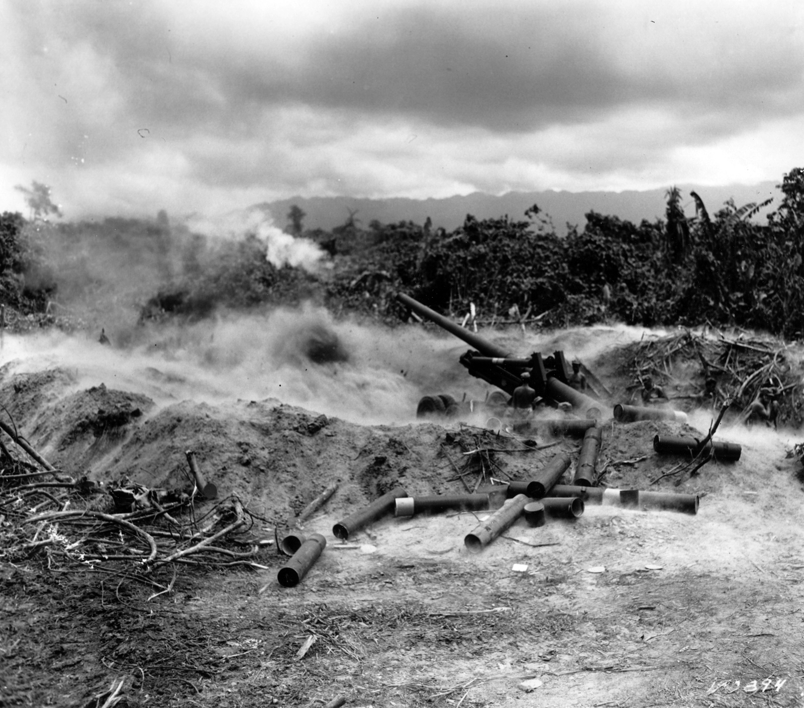 Bougainville: The Battle for Hill 260, 1944 – 182nd Infantry1600 x 1408